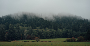 加快建立产品碳足迹管理体系 绿色减碳更加“有规可循”